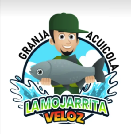 asesoria de abogado en villahermosa tabasco
